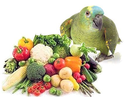 bird and vegetables