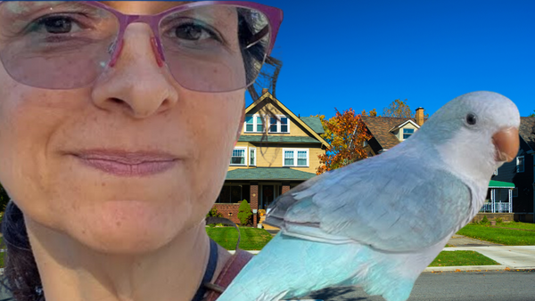 woman with a quaker parrot