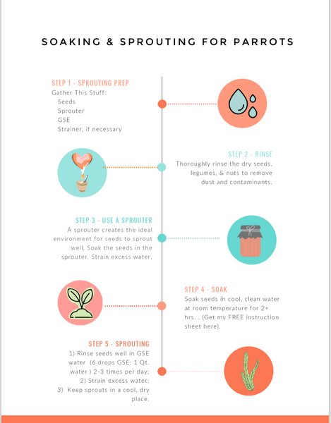 Sprouting for Parrots Infographic