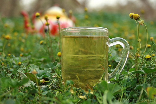 Loose Chamomile Flower for Parrots