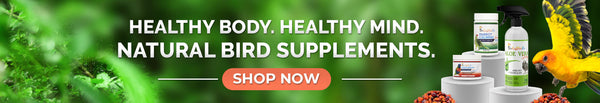 Shop bird supplements